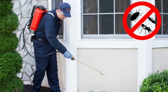 Giresun Gümüşkurt İlaçlama böcek ilaçlama ve haşere kontrolü — ilaclama-tr.com